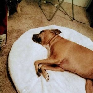 Meet your Posher, Eddie